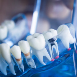 3 Minnesota Medical Online