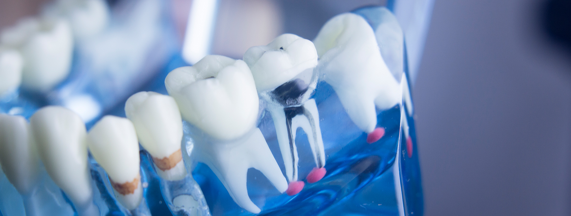 Dental Laboratories MN Medical Online